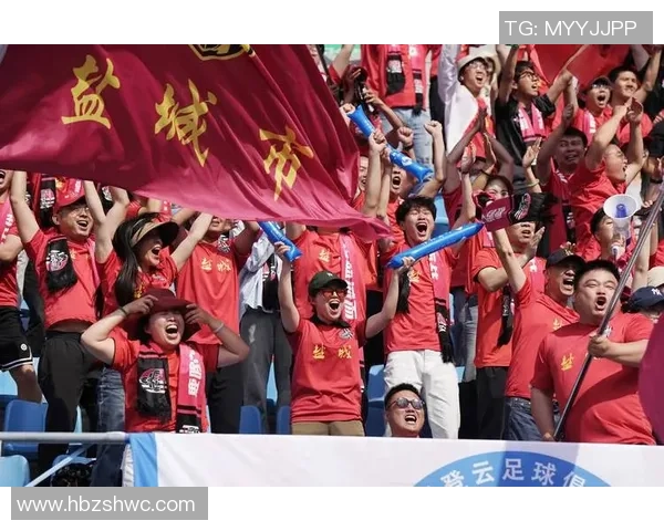 南京排球队整体表现分析:压制对手与失误的双重影响